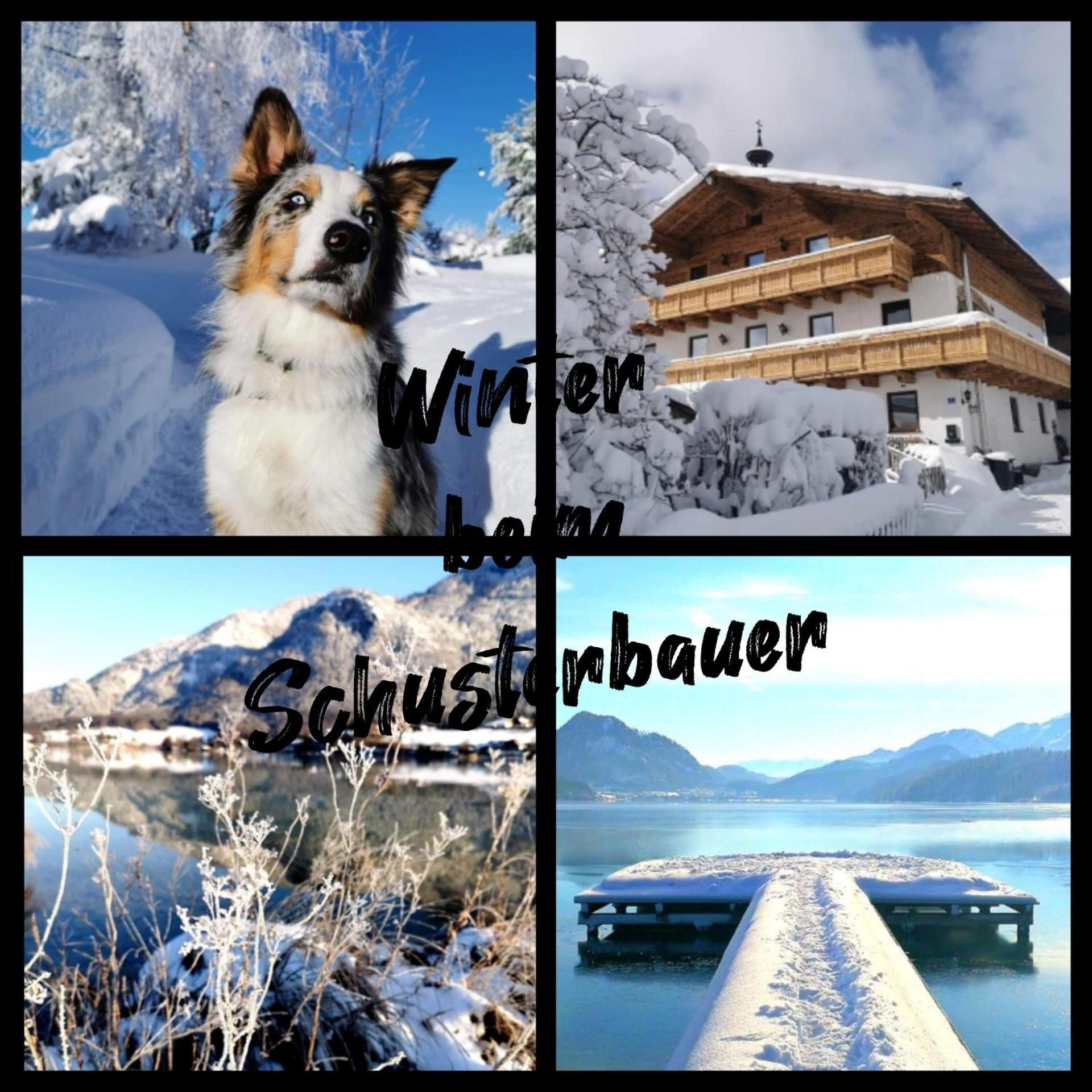 Schusterbauer Villa Koppl Exterior photo