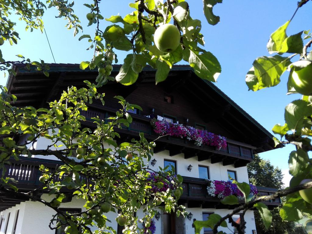 Schusterbauer Villa Koppl Exterior photo