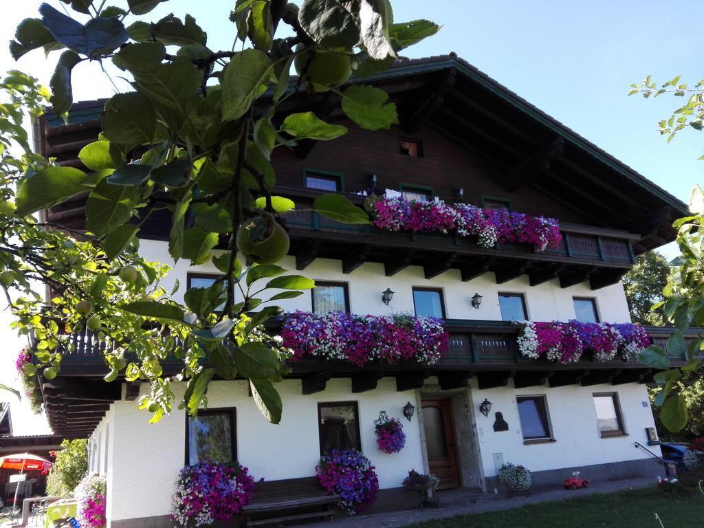 Schusterbauer Villa Koppl Exterior photo