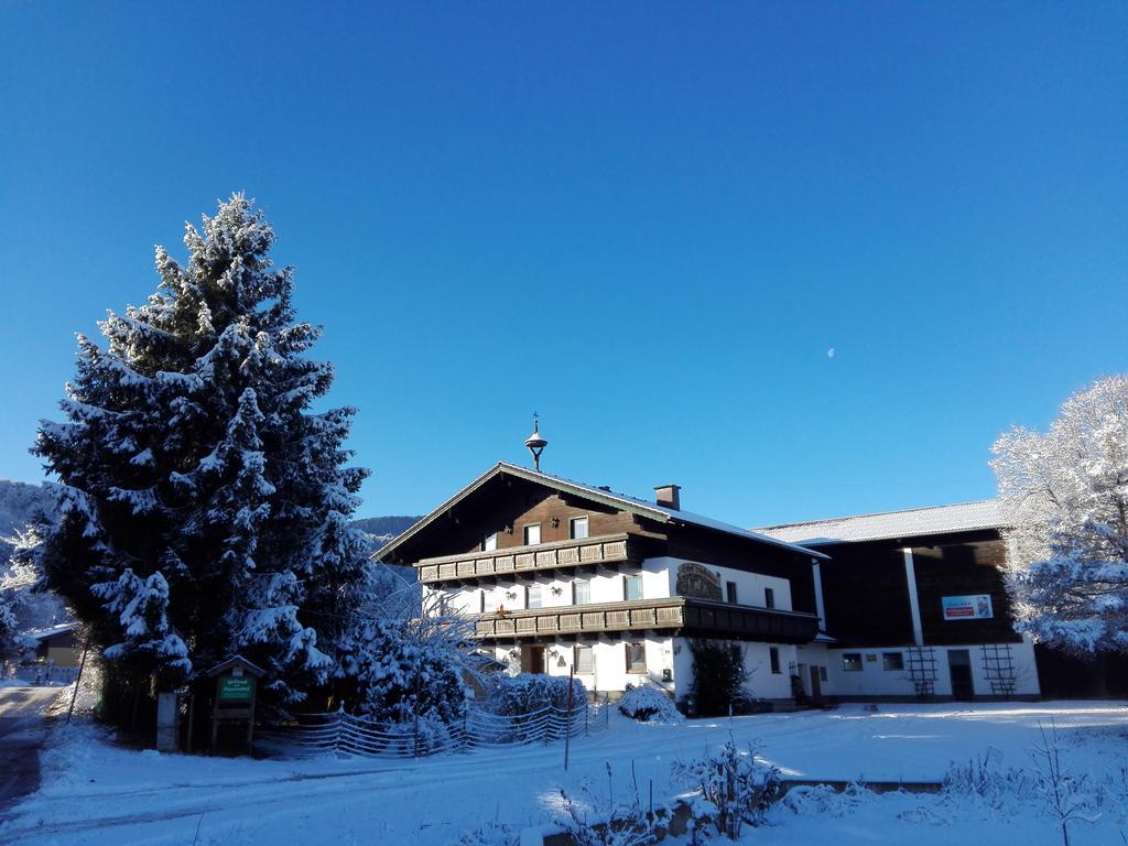 Schusterbauer Villa Koppl Exterior photo