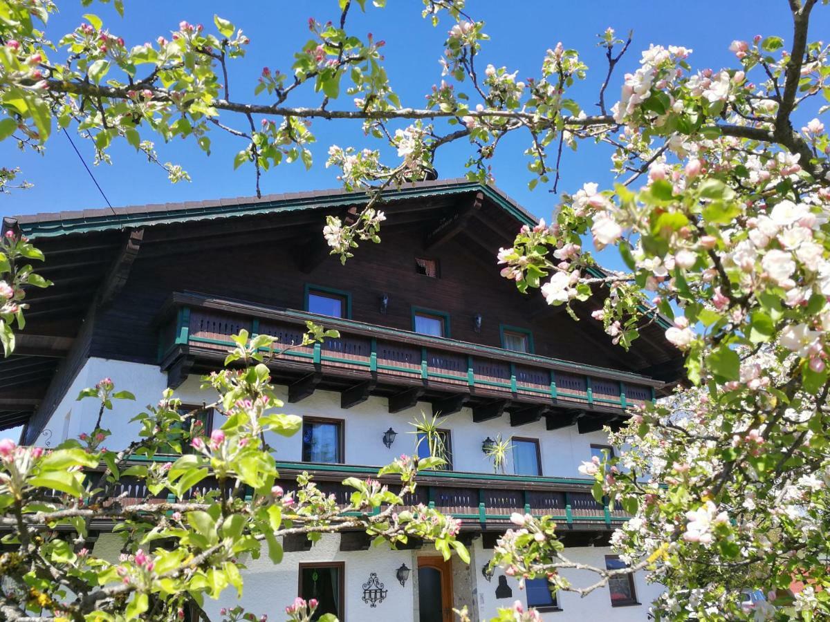 Schusterbauer Villa Koppl Exterior photo